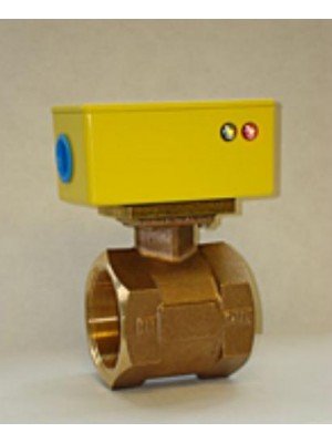 RCM Flo-Gard II Adjustable Liquid Flow Switch