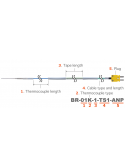 Low Temperature Probe BR Series